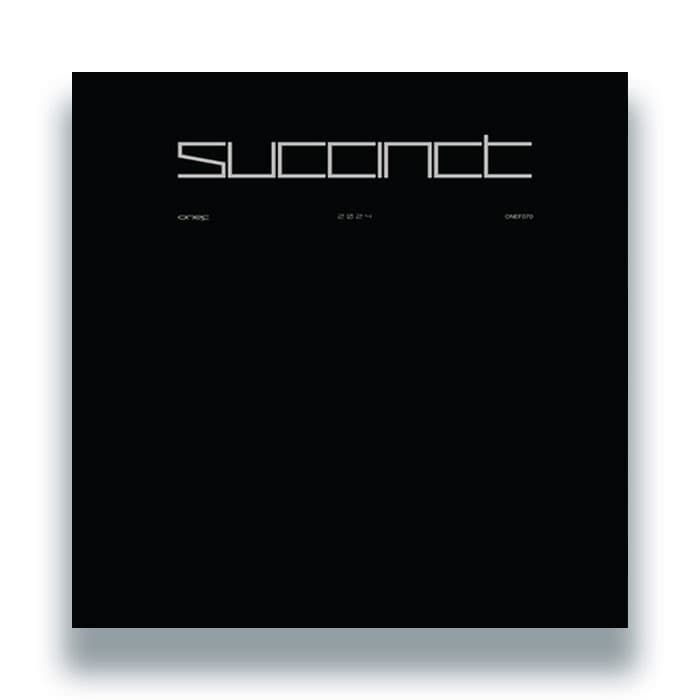Various Artists — Succinct 2024